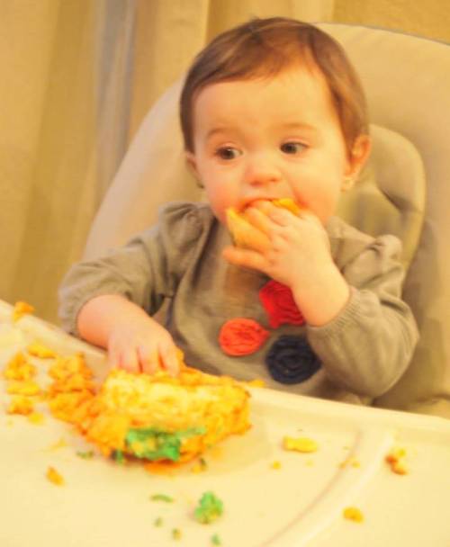 10553565_10203084773787259_1289025694718181078_n